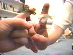 fingertips